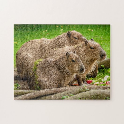 Capybara Family Foto Puzzle Legpuzzel (Horizontaal)