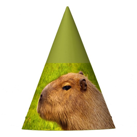 Capybara Feesthoedjes (Voorkant)
