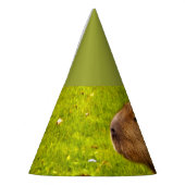 Capybara Feesthoedjes (Links)