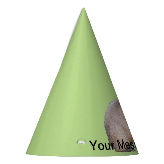 Capybara Feesthoedjes (Links)