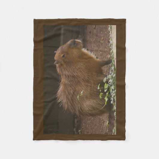 Capybara Fleece Deken (Voorkant)