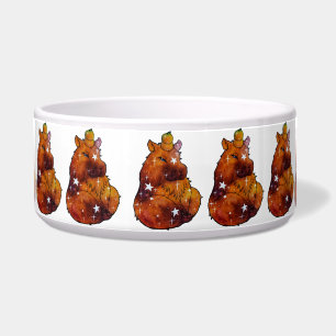 Capybara genaamd Dream Voerbakje