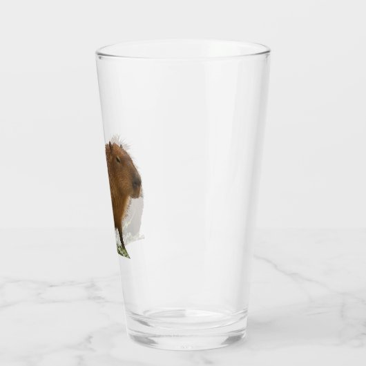 Capybara Glas (Links)