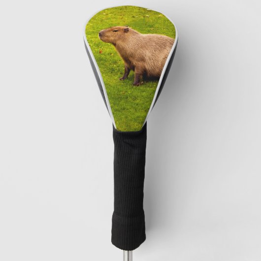 Capybara Golfheadcover (Voorkant)