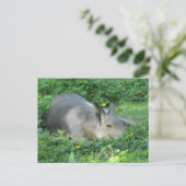 Capybara - Groot Knaagdier Briefkaart (Staand voorkant)