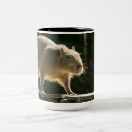 Capybara Grote Mok