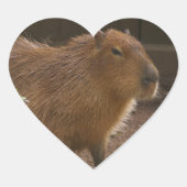 Capybara Hart Sticker (Voorkant)