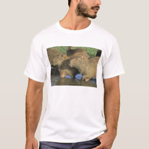 Capybara, Hydrochaeris hydrochaeris), werelds T-shirt