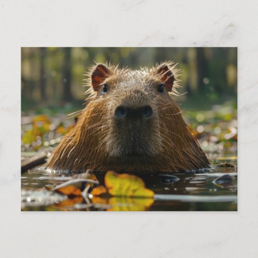 Capybara in de herfstwetlands briefkaart (Voorkant)