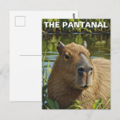 Capybara in The Pantanal Briefkaart (Voorkant / Achterkant)
