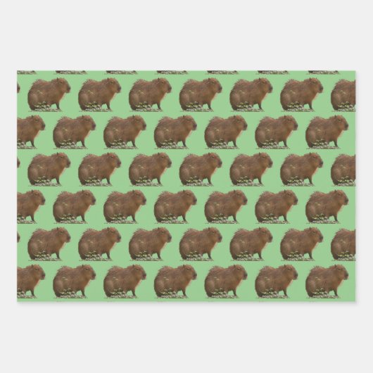 Capybara Inpakpapier Vel (Voorkant 2)