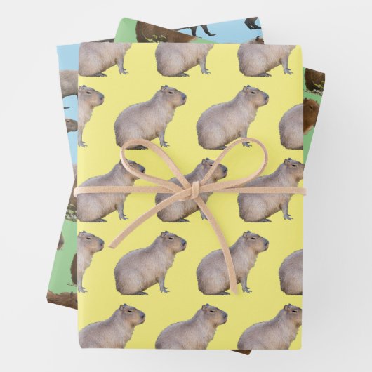Capybara Inpakpapier Vel (In situ)