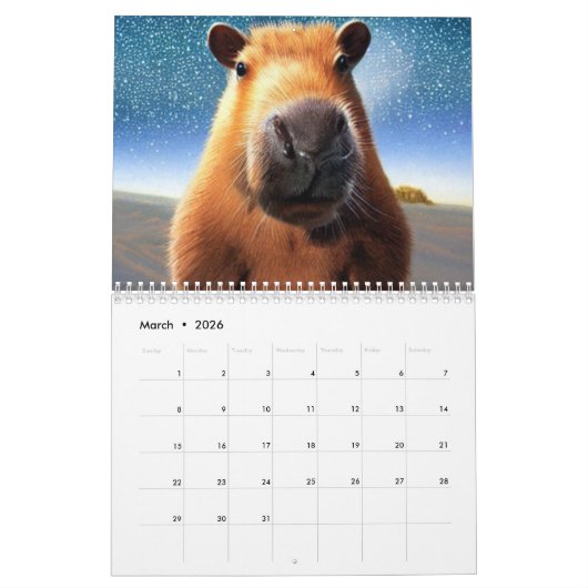 Capybara Kalender (Mar 2026)
