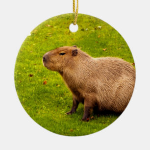 Capybara Keramisch Ornament