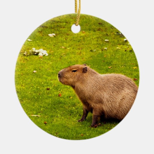 Capybara Keramisch Ornament (Voorkant)