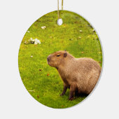 Capybara Keramisch Ornament (Links)