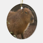 Capybara Keramisch Ornament (Links)