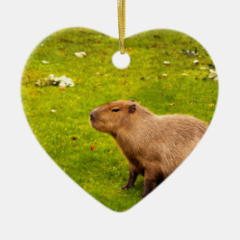 Capybara Keramisch Ornament