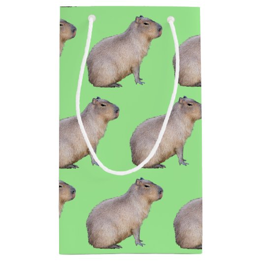 Capybara Klein Cadeauzakje (Achterkant)