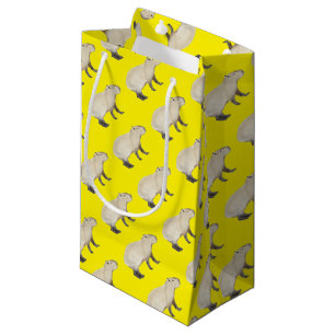 Capybara Klein Cadeauzakje