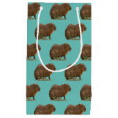 Capybara Klein Cadeauzakje (Voorkant)