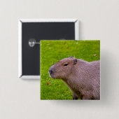 Capybara Knop Vierkante Button 5,1 Cm (Voorkant /achterkant)