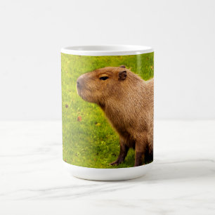 Capybara Koffiemok
