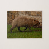 capybara legpuzzel (Horizontaal)