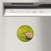 Capybara Magneet (Insitu (Vaatwasser))