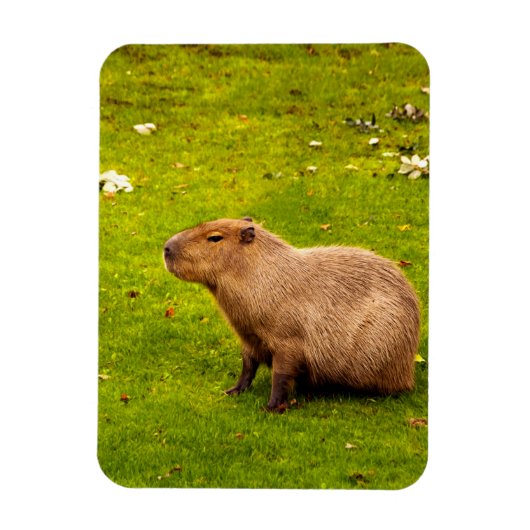 Capybara Magneet (Verticaal)