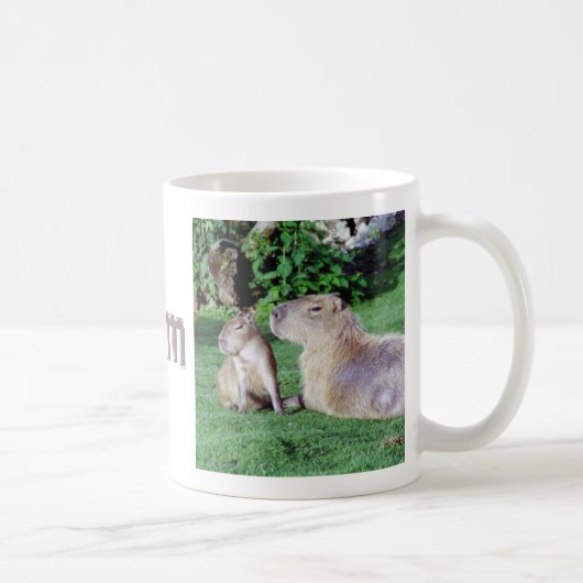 Capybara Mam en Son Mok (Rechts)