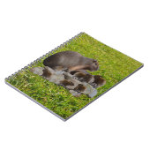 Capybara Maman Avec Bébés, Carnet (Côté gauche)