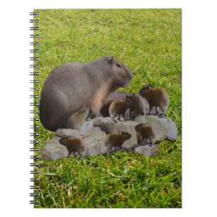 Capybara Maman Avec Bébés, Carnet
