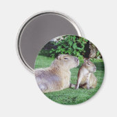 Capybara, maman et son aimant (Recto/Verso)