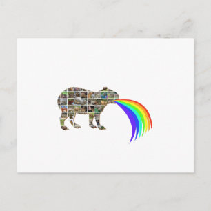 Capybara met een regenboog briefkaart
