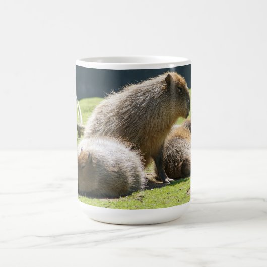 Capybara Mok (Center)