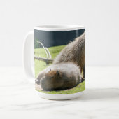 Capybara Mok (Voorkant links)