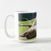 Capybara Mok (Links)