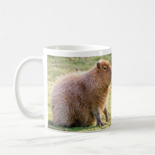Capybara mok