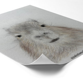 Capybara | Mooie Potlood Tekening Kunstprint Poster