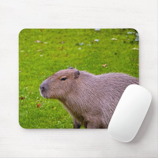 Capybara Mousepad Muismat (Met muis)