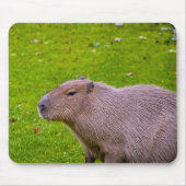 Capybara Mousepad Muismat (Voorkant)