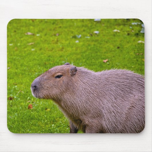 Capybara Mousepad Muismat (Voorkant)