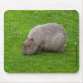 Capybara Mousepad Muismat (Voorkant)
