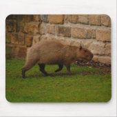 capybara muismat (Voorkant)