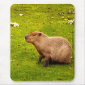 Capybara Muismat (Voorkant)