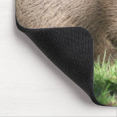 Capybara Muismat (Hoek)