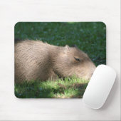 Capybara Muismat (Met muis)