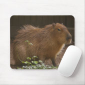 Capybara Muismat (Met muis)