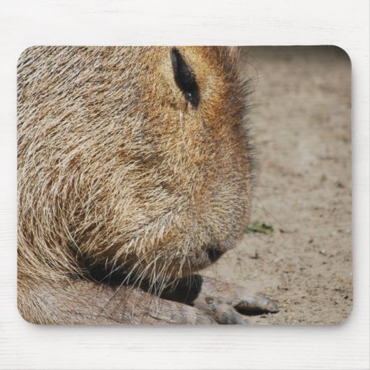 Capybara Muismat (Voorkant)